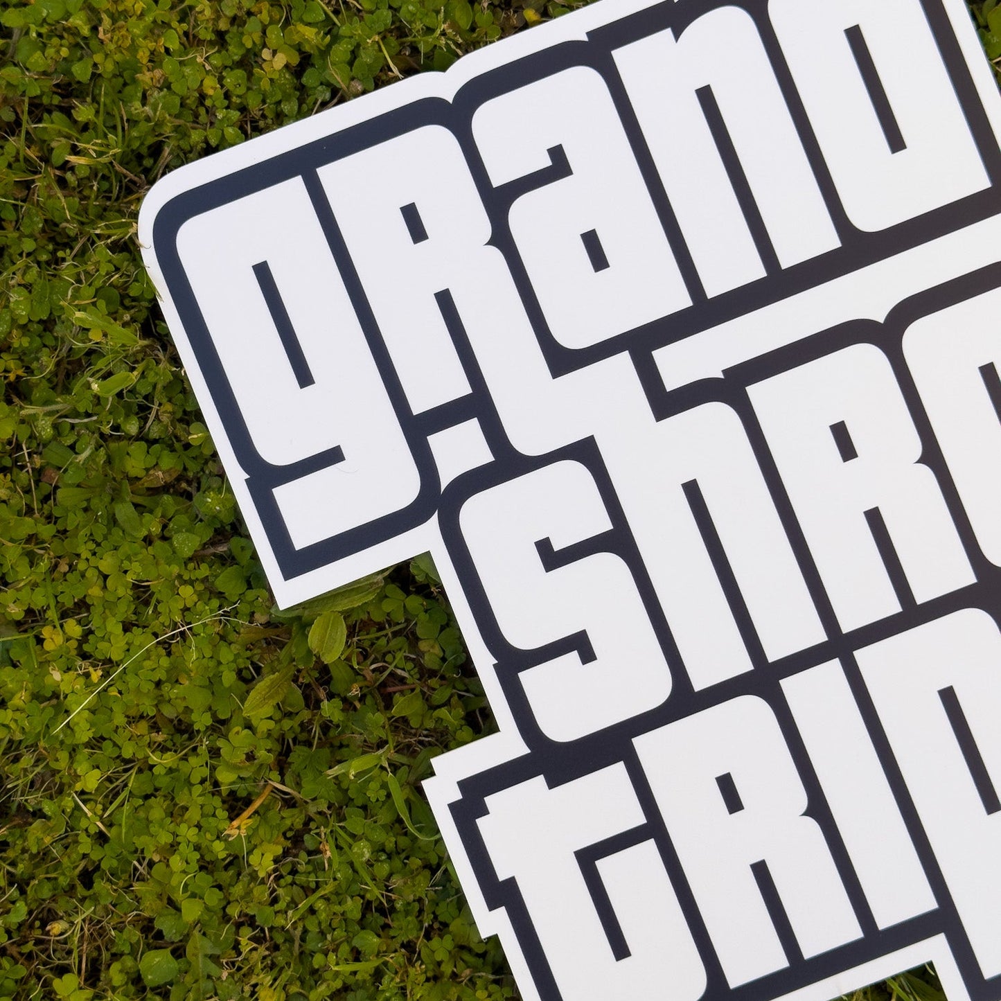Grand Shroom Trips