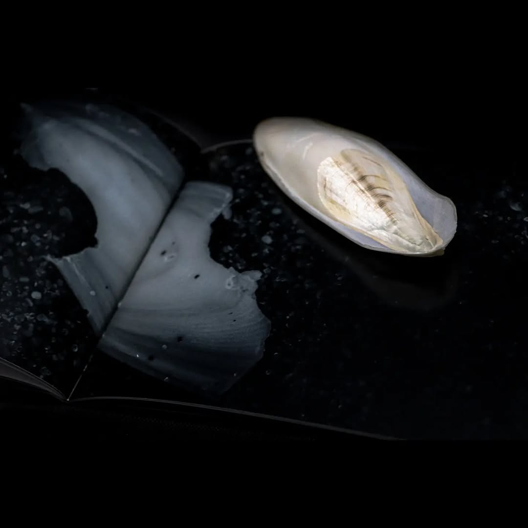 Deriva – Libro Fotografico in Edizione Limitata